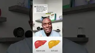 Alcohol and Your Liver Explained