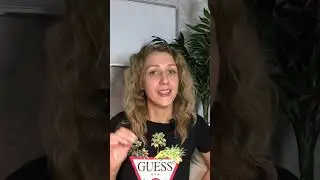 Бесплатное продвижение в Pinterest| pinterest marketing| pinterest для новичков 