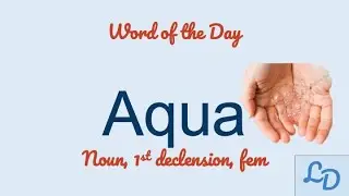 Word of the Day: Aqua