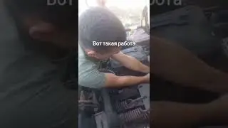 Моёхозяйство #лето работа