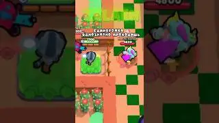 ☕оценка скинчеков #zelaen #бравлстарс #brawlstars #chickengun #чикенган #мем #смиш