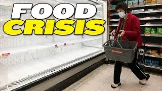 China Faces a Food Crisis