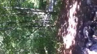 IMG 6595