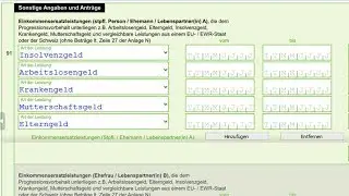 ELSTERFORMULAR ausfüllen - ELSTER STEUERERKLÄRUNG ausfüllen- SONSTIGE ANGABEN/ ANTRÄGE Seite 4