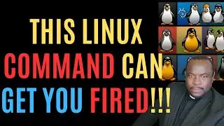 Warning: This Linux Command Can Get You Fired!