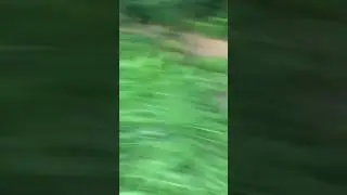 Невидимый ЧУЖОЙ