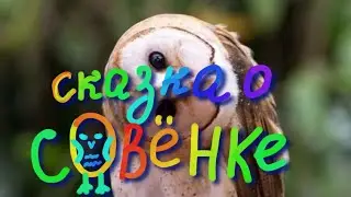 Сказка про Совёнка. Как совенок в цирк ходил.