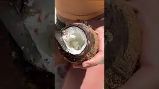 The GiRL survives on the island 