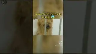 skinwalkers itu apa 