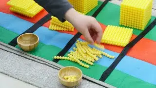 Школа - монтессори 