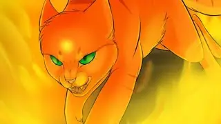 warriors cats firestar blood//water ///коты воители огнезвезд blood//water