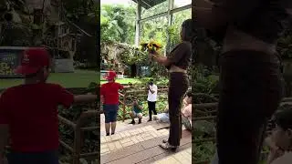 Cebu Safari | Bird Show |