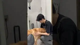 BL TikTok Video /소년 사랑 소년 /boy Love boy 
