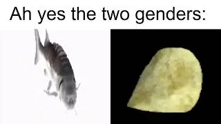 The two genders