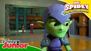 Staden svämmar över | Spidey och hans fantastiska vänner | Disney Junior Sverige