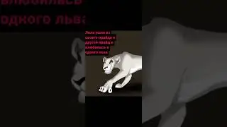 Король лев - История Лолы ( мой фан персонаж)