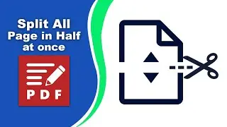 How to split all pages in half at once in PDF XChange Editor