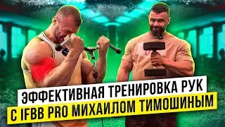 Эффективная тренировка рук с IFBB PRO Михаилом Тимошиным. О бодибилдинге, карьере, планах на сезон.