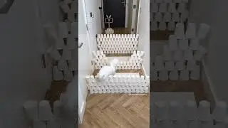 Wow!✨ Mia is always perfect🥹🤍 #cat #catvideos