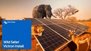 Keeping lions and elephants off your land using Victron Energy