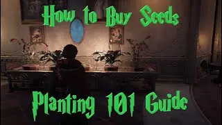 Hogwarts Legacy: How To Buy Seeds