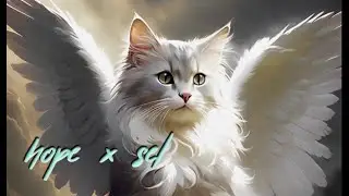 KİRLİ BEYAZ KEDİ - HÜMEYRA ( SEL )