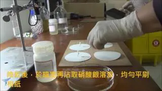 黑白記憶：銀鹽相紙的曝光與實作