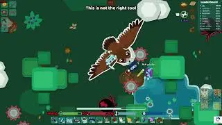starve io/raid лист0пад0м