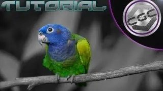 Photoshop CS5 Tutorial - Proffesional Looking Image