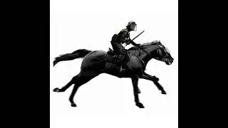 Destriers socials