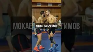 Мокаев против Ибрагимова / Борцовская тренировка в зале «Динамо»