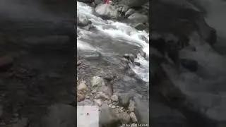 mentahan