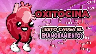 ¿Qué efectos tiene la “hormona del amor” en nuestro cuerpo? #amor #sanvalentin #14february