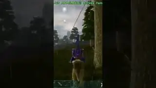 That Can Walk Tight Ropes???? 