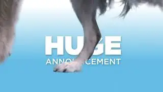 HUGE Announcement...