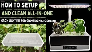 How to Switch Your Countertop Herb Garden into a Microgreen Station
