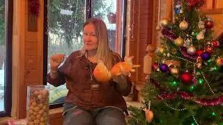 155.КАК БЕЛОЧКА ЗИМУЕТ.Г.СКРЕБИЦКИЙ