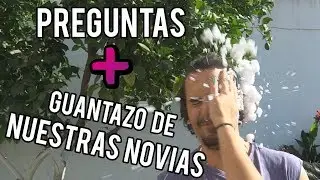 ¿CÚAL ES LA VIDA ÚTIL DE UN SUJETADOR? ETC... | NUESTRAS NOVIAS NOS CASTIGAN