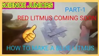 how to make blue litmus paper at home very easy