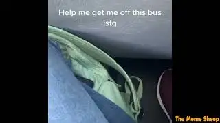 can i put my balls in your jaws in school bus