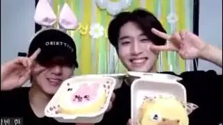Han dropped his quokka cake | Stray Kids Zoom |