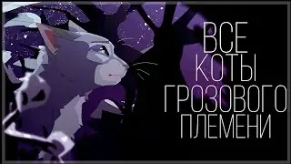 Коты Воители - ВСЕ коты Грозового племени [1 ЧАСТЬ]