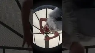 Педро Педро Педро