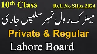 Matric Exams 2024 Roll No Slips Lahore Board - 10th Class Roll No Slips 2024 Bise Lahore
