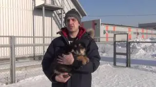 За несколько минут до окончания конкурса