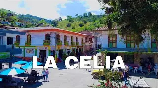 LA CELIA RISARALDA 2024