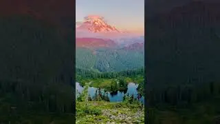 Relaxing video