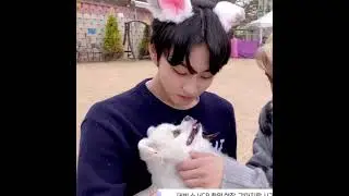 [엔하이픈/양정원] 고양이랑 강아지가 함께 노는 영상