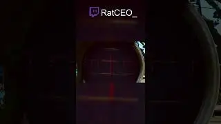 Customs Tree Rat Spot  