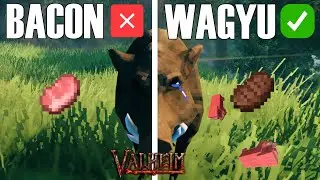 The Wagyu PIGS ARE OURS!!! 🐷 | Valheim Part 1 |